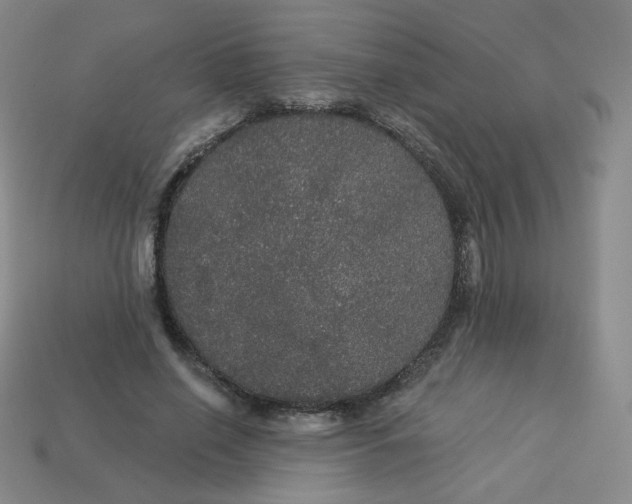 X0000113550638200910091305