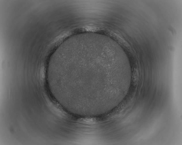 X0000113550639200910091305