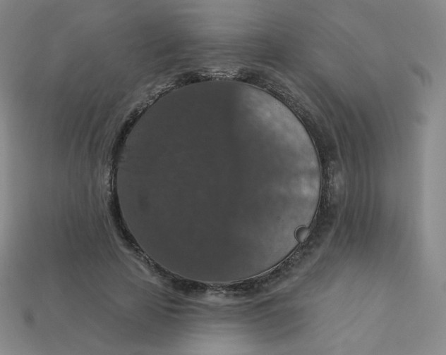 X0000113550641200910091305