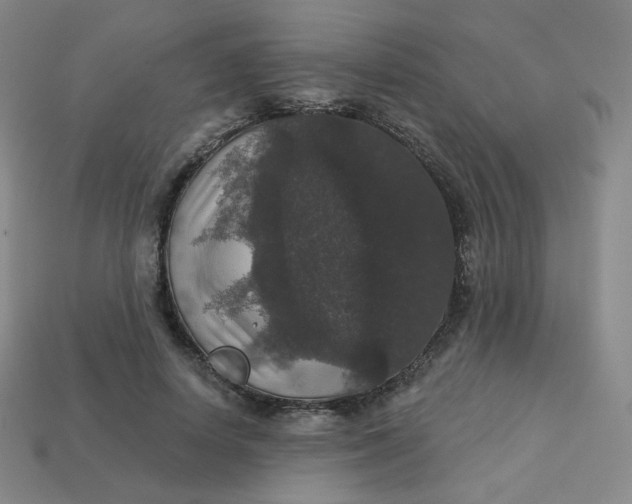 X0000113550642200910091305