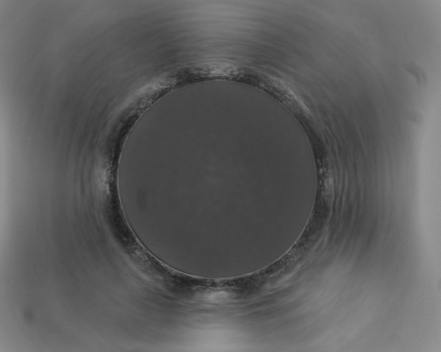 X0000113550643200910091305