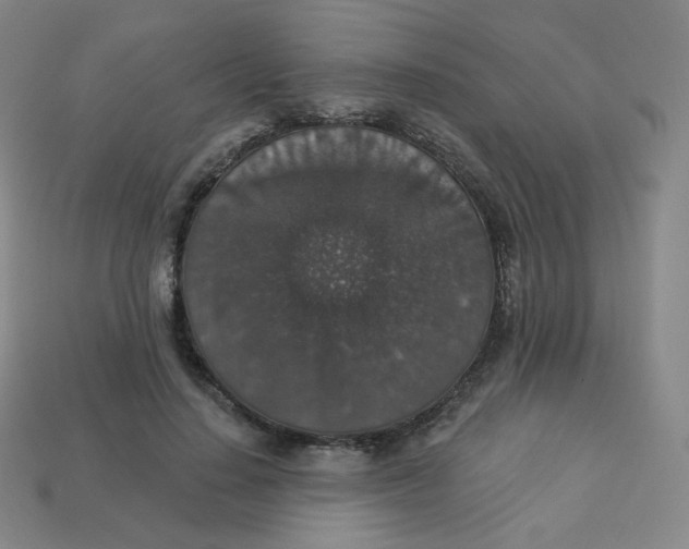 X0000113550644200910091305