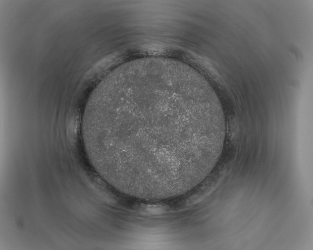 X0000113550645200910091305