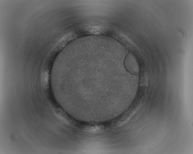 X0000113550646200910091305