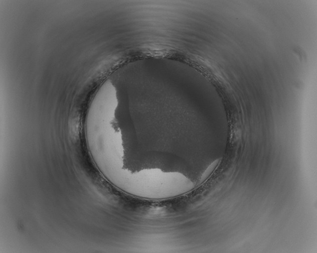 X0000113550647200910091305