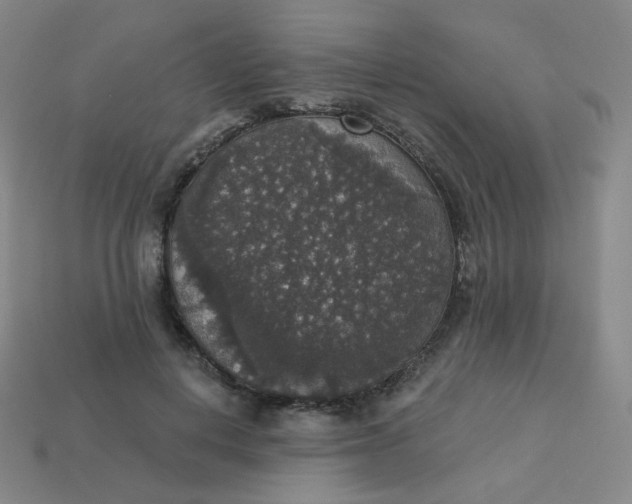 X0000113550648200910091305