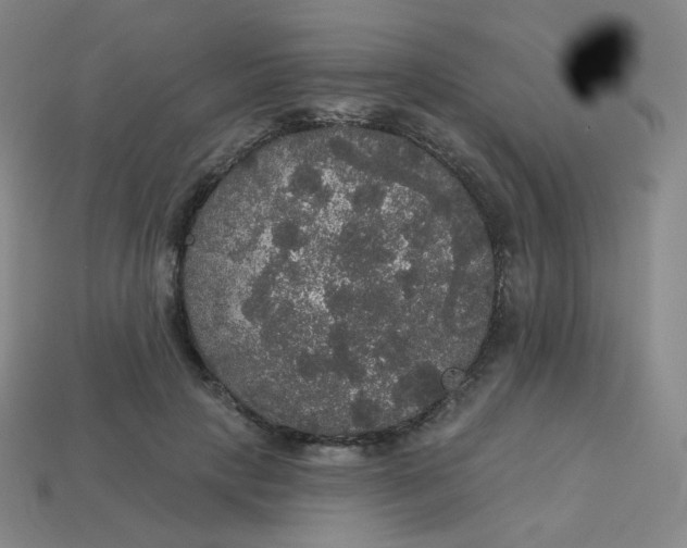 X0000113550649200910091305