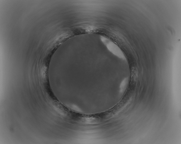 X0000113550650200910091305