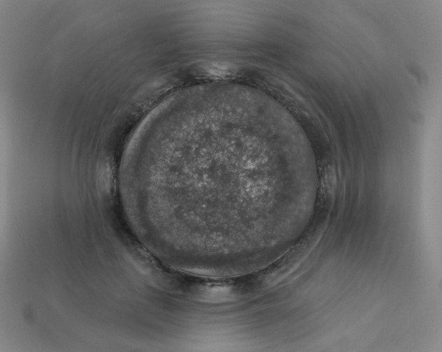 X0000113550651200910091305