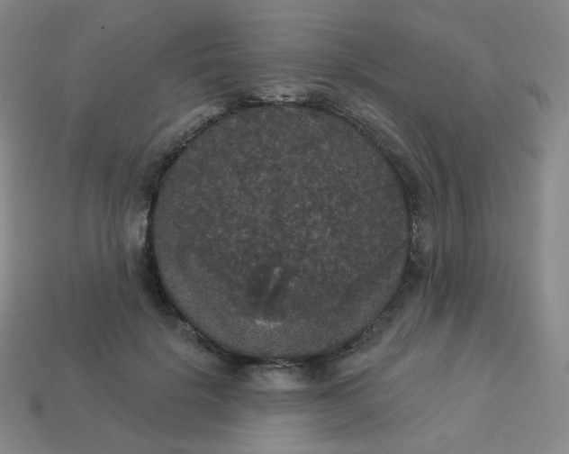 X0000113550652200910091305