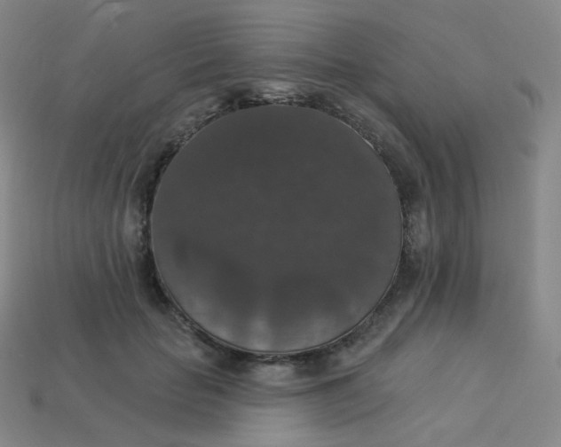 X0000113550653200910091305