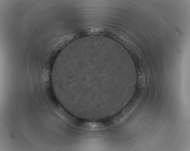 X0000113550654200910091305