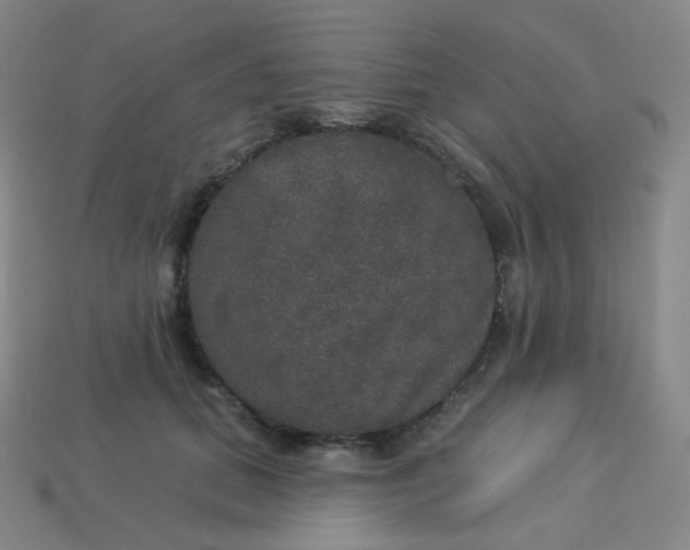 X0000113550655200910091305