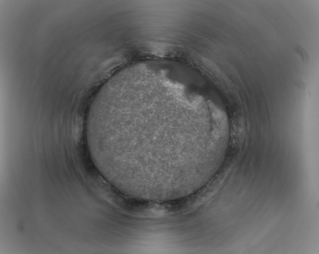 X0000113550656200910091305