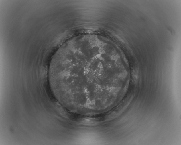 X0000113550657200910091305