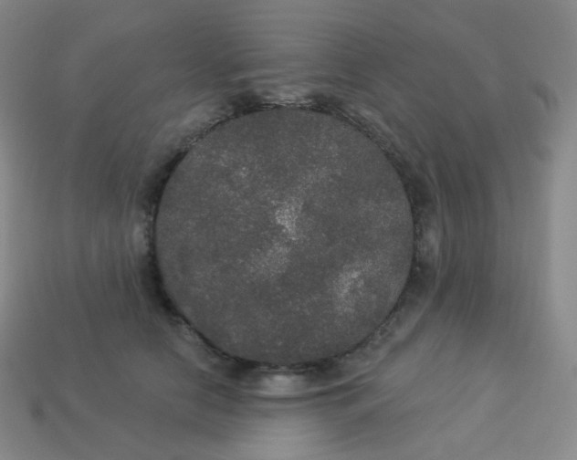 X0000113550658200910091305