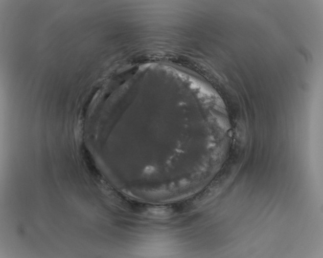 X0000113550659200910091305