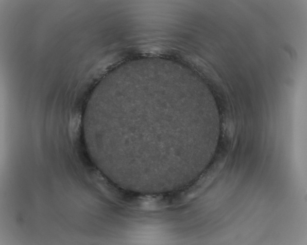 X0000113550660200910091305