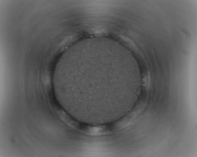 X0000113550662200910091305