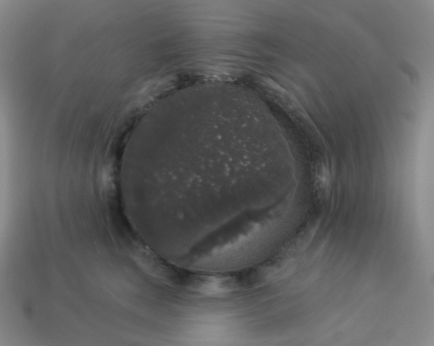 X0000113550663200910091305