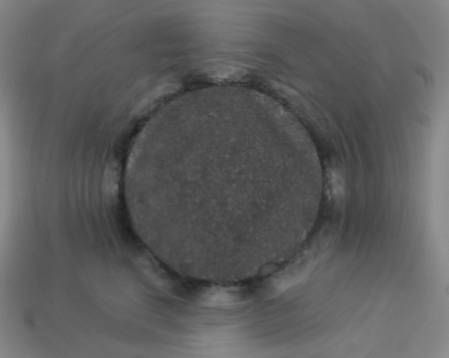 X0000113550664200910091305