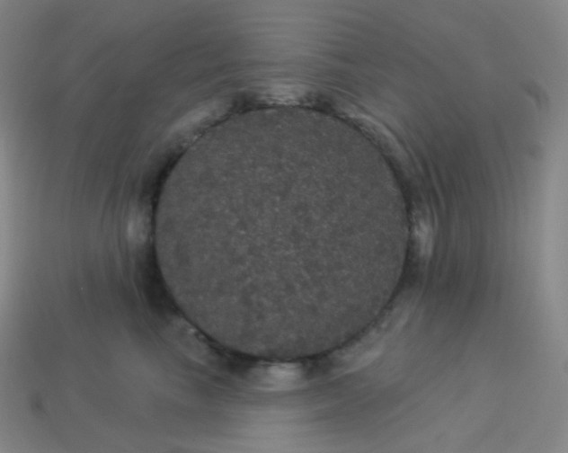 X0000113550665200910091305