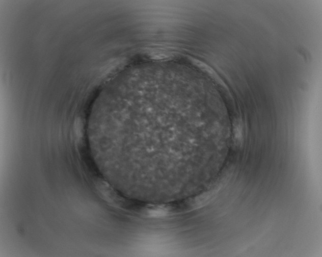 X0000113550667200910091305