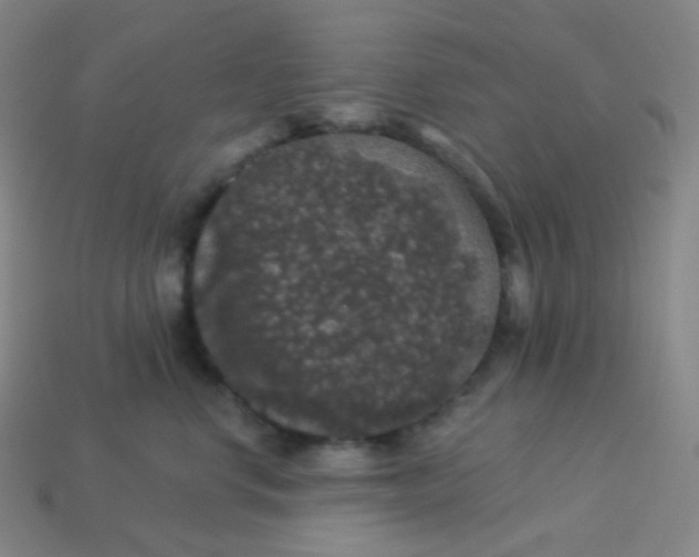 X0000113550668200910091305