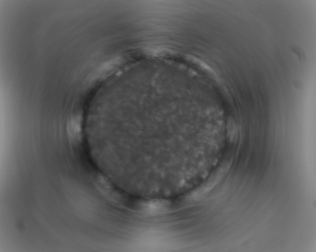 X0000113550670200910091305