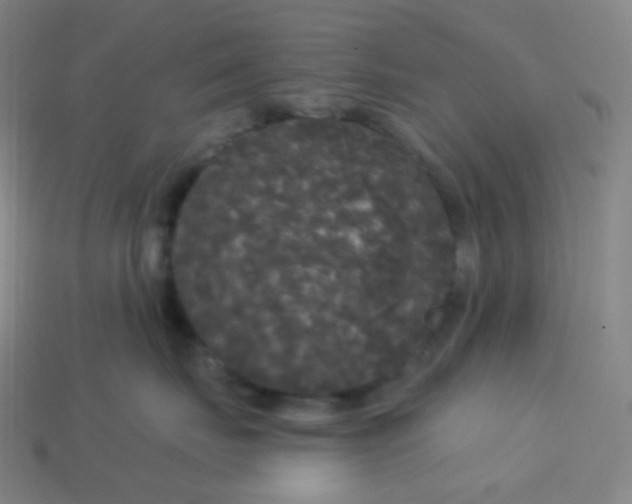 X0000113550671200910091305