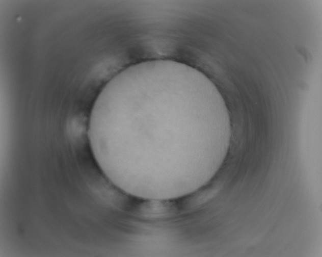 X0000113550672200910091305