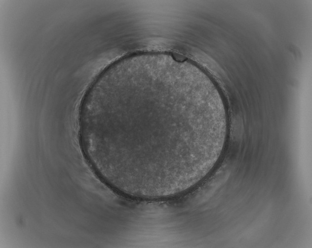 X0000113550673200910091304