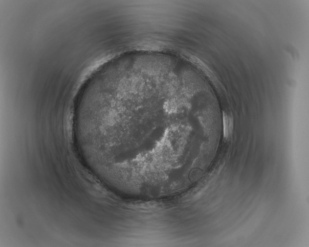 X0000113550675200910091304