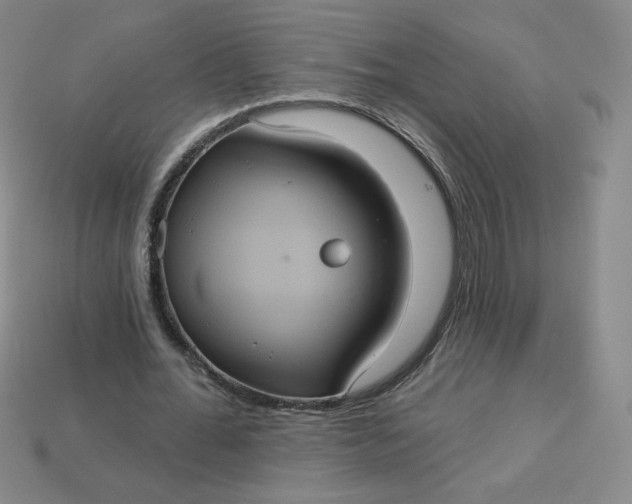 X0000113550676200910091304