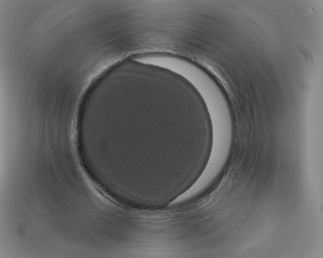 X0000113550677200910091304