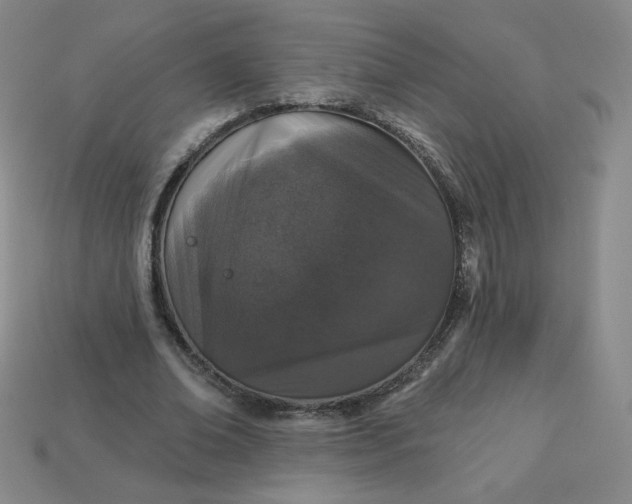 X0000113550678200910091304