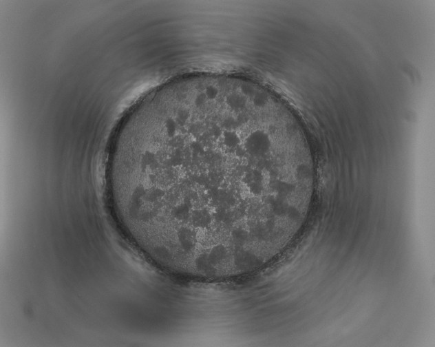 X0000113550679200910091304