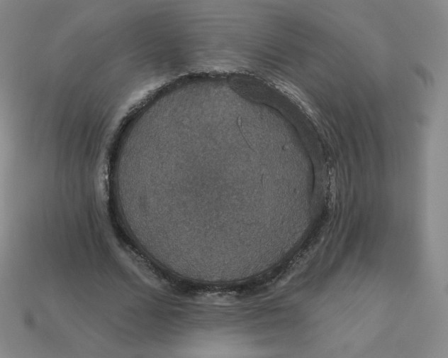 X0000113550680200910091304