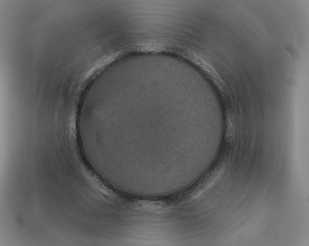 X0000113550681200910091304