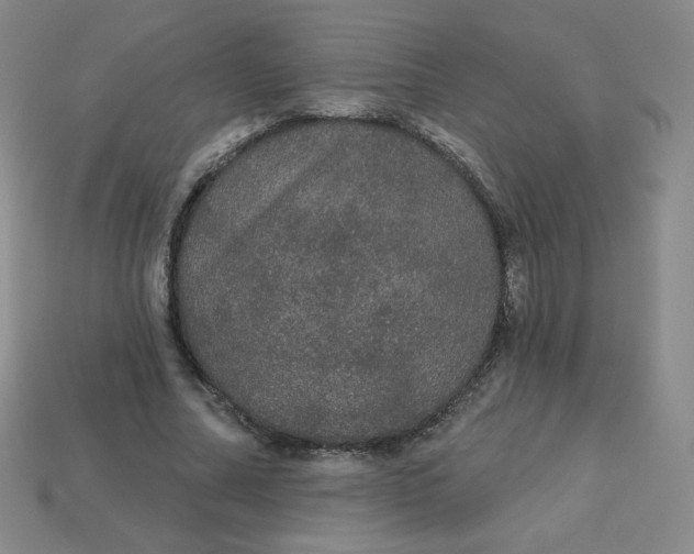 X0000113550682200910091304