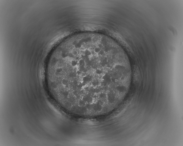 X0000113550683200910091304