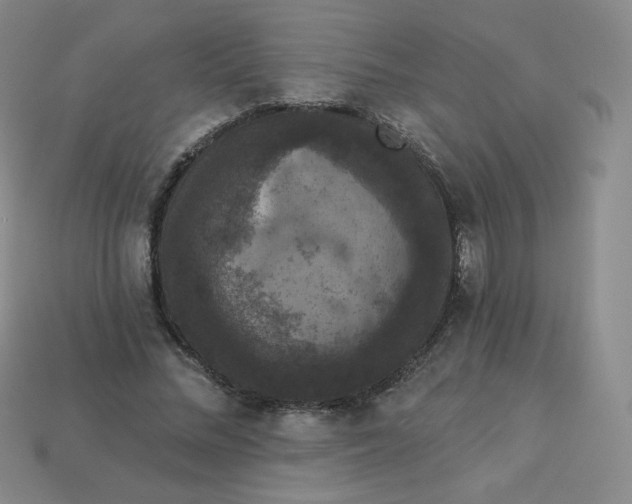 X0000113550684200910091304