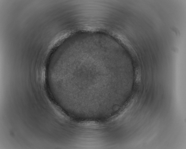 X0000113550685200910091304