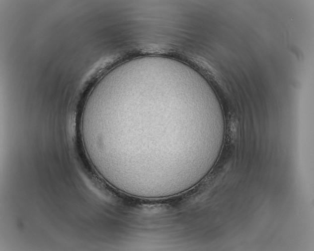 X0000113550686200910091304