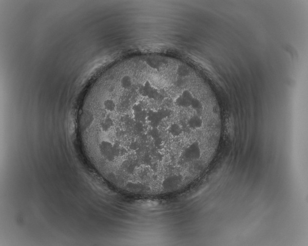 X0000113550687200910091304