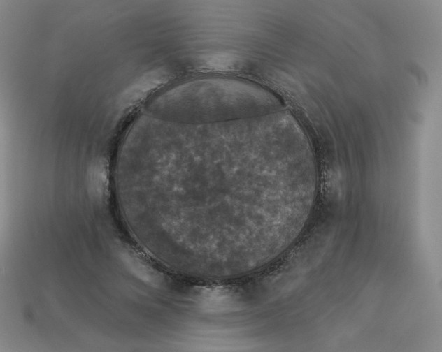 X0000113550688200910091304