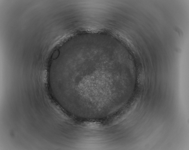 X0000113550689200910091304