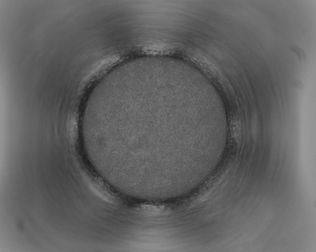 X0000113550690200910091304