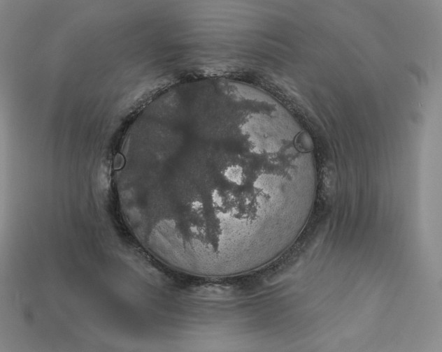 X0000113550691200910091304