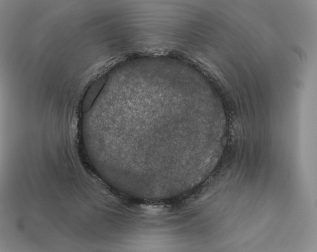 X0000113550693200910091304